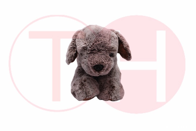 创意,让星空彩票贴吧成为炽热礼品